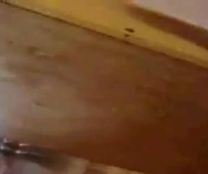 edessä peilin movieing teiniikäinen tyttö miten hän itse riisua hänen pienet tissit ja pillu näytä.