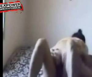 whiteh su coño grasa les pellizco en su polla tiesa ajeno es la gorda puerca película ella es whiteh su gordo coño en su polla tiesa y lo hacen mierda.