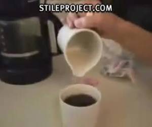 Café con leche para desayunar Leche femenina sin desnatar, la mejor para un buen capuccino. ¡¡ Sólo falta el Bollicao ¡!